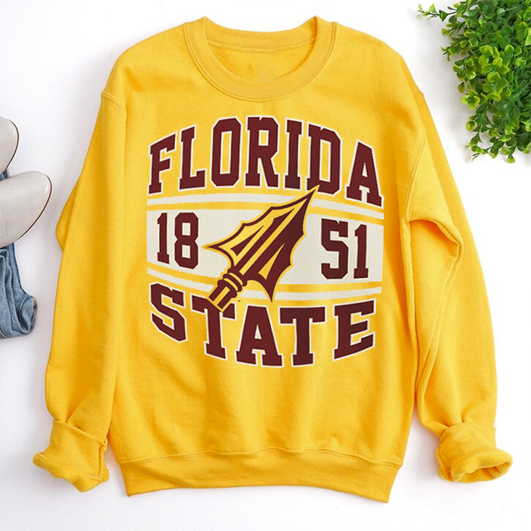 NCAA Men's Florida State Seminoles Retro Graphic T-Shirt - Fan Gift