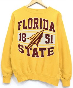 NCAA Men's Florida State Seminoles Retro Graphic T-Shirt - Fan Gift