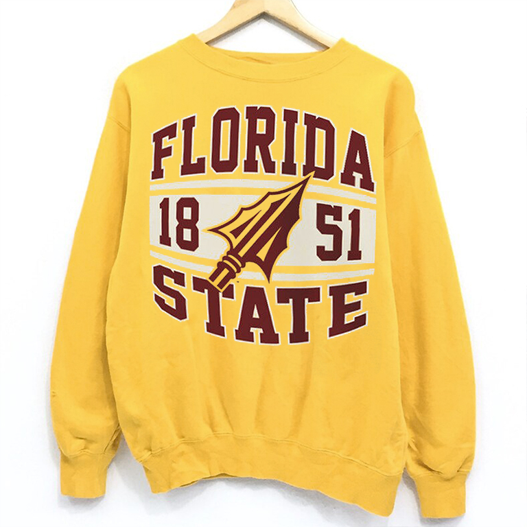 NCAA Men's Florida State Seminoles Retro Graphic T-Shirt - Fan Gift