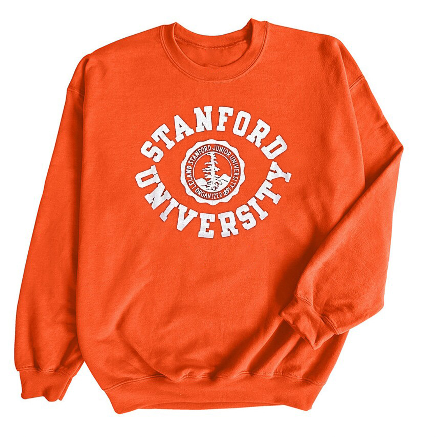 Vintage 80S Stanford University T-Shirt