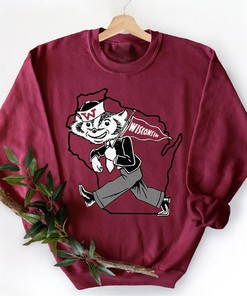 Vintage Freshman Bucky Badger Tee, Fan Gift