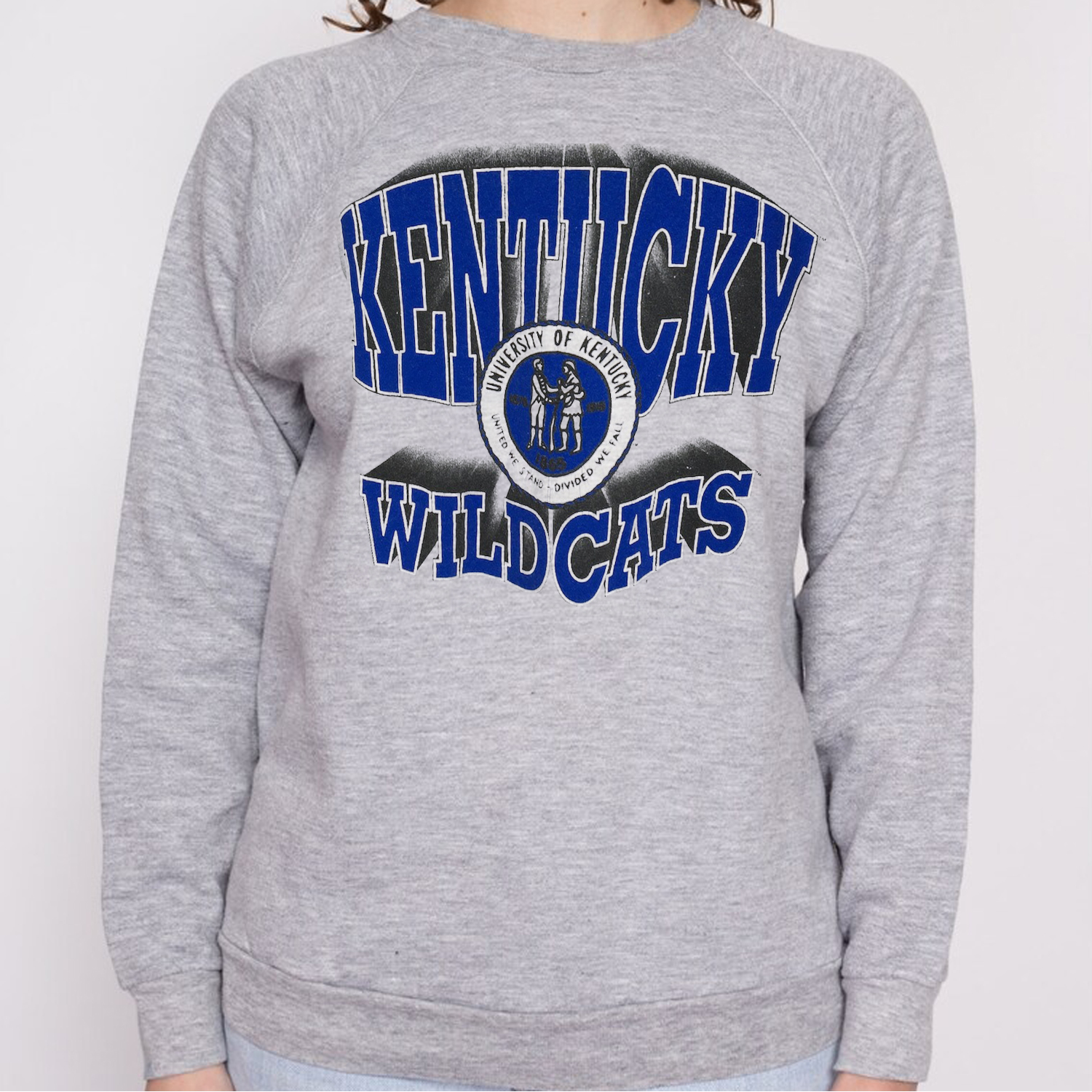 Vintage Kentucky Wildcats Ncaa Sweatshirt, Fan Gift