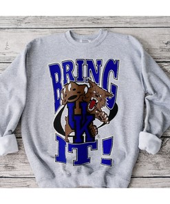 Vintage Kentucky Wildcats Sweatshirt, Fan Gift