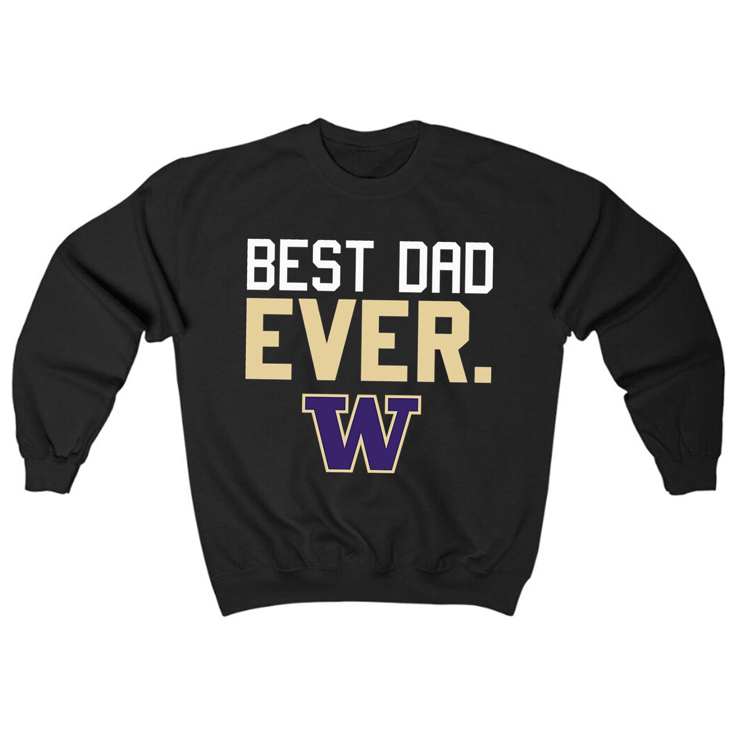 Washington Huskies Best Dad Ever T-Shirt in Vintage Style for Fans