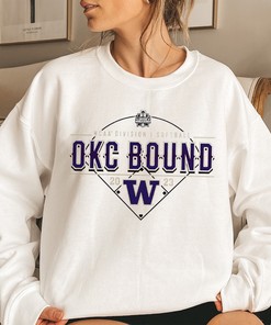 Washington Huskies Women's Softball College World Series 2023 Shirt for Fans