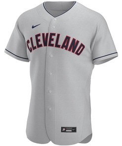 2020 Mlb Personalized Custom Gray Cleveland Guardians Jersey
