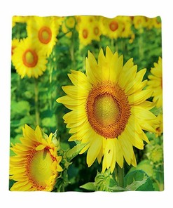3D Sun Flower Bathroom Shower Curtain Home Decor