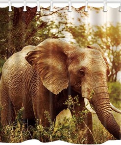 African Elephant Sunset Shower Curtain - Wildlife Bathroom Decor