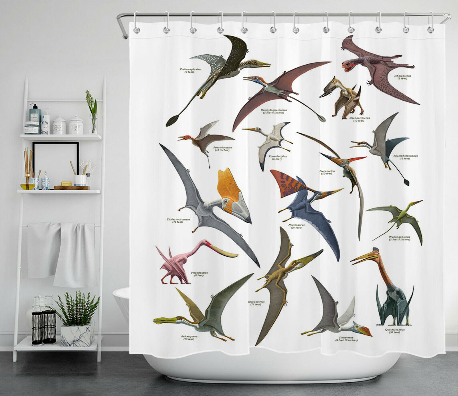 Ancient Flying Animal Dinosaur Pterodactyl Shower Curtain - Bathroom Decor