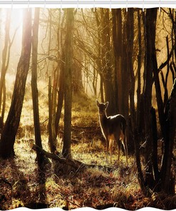 Arid Country Landscape Shower Curtain, Sunset in Stone Desert Saguaro and Mountains Print for Bathroom Decor