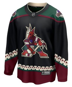 Arizona Coyotes #26 Arizona Coyotes 2023 NHL Draft Home Men Jersey