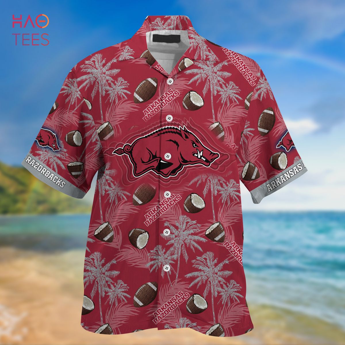 Arkansas Razorbacks Hawaiian Shirt, New Gift for Summer