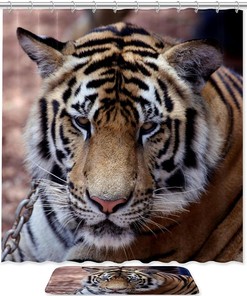 Asian Tiger Waterproof Shower Curtain for Bathroom Decor