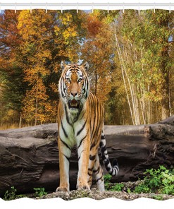 Asian Tiger in Forest Animal Print Shower Curtain for Bathroom