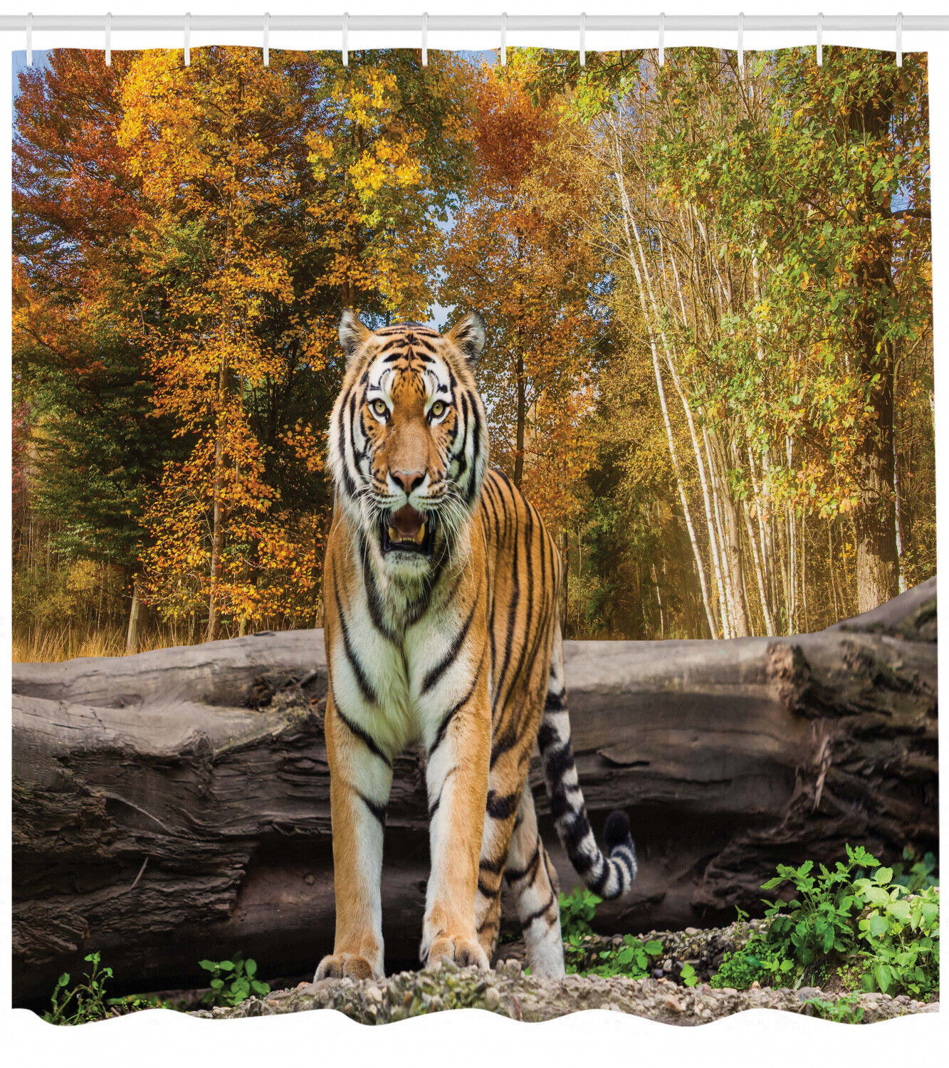 Asian Tiger in Forest Animal Print Shower Curtain for Bathroom