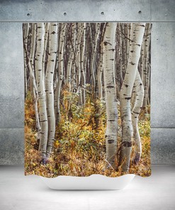 Autumn Bear Reading Book and Waterproof Shower Curtain for Bathroom