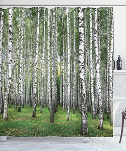 Autumn Birch Shower Curtain, Forest Trees View Landscape Picture Cloth Fabric Bathroom Decor, Home Decor Black/White