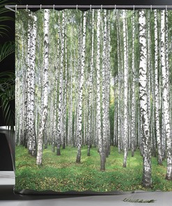Autumn Birch Shower Curtain, Forest Trees View Landscape Picture Cloth Fabric Bathroom Decor, Home Decor Black/White