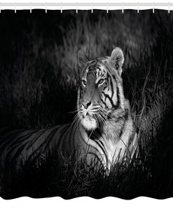 Bengal Tiger Shower Curtain - Exotic and Playful Black and White Bathroom Decor with Animal Print