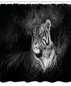 Bengal Tiger Shower Curtain - Exotic and Playful Black and White Bathroom Decor with Animal Print