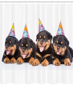 Birthday Dogs Hats Animal Print Shower Curtain for Bathroom