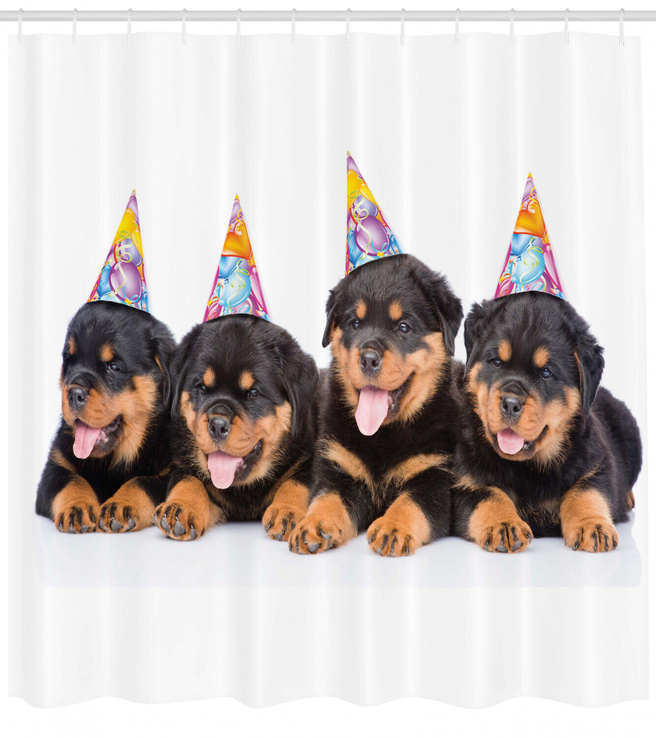 Birthday Dogs Hats Animal Print Shower Curtain for Bathroom