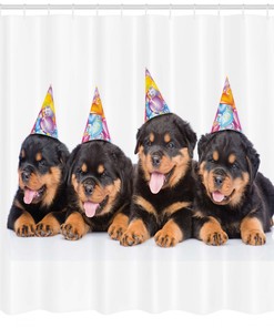 Birthday Dogs Hats Animal Print Shower Curtain for Bathroom
