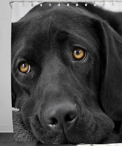 Black Lab Retriever Shower Curtain with Cute Dogs Design - Perfect for Bathroom Decor