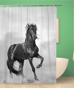 Black Stallion Horse Shower Curtain - Wild Sunshine Fast Forward Freedom Power Sunset Bathroom Decor