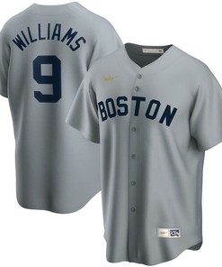 Boston Red Sox Stan Williams #9 2020 Mlb Grey Jersey