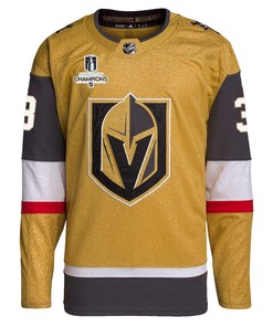 Brayden McNabb 3 Vegas Golden Knights Stanley Cup 2023 Champions Patch Home Breakaway Men Jersey - Gold