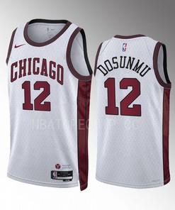 Chicago Bulls Ayo Dosunmu 12 2022-23 City Edition White Jersey Swingman