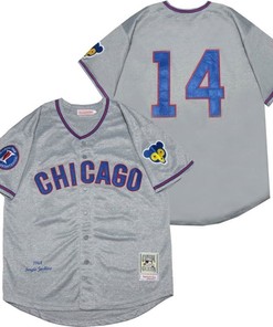 Chicago Cubs Ernie Banks #14 2020 Mlb Grey Jersey