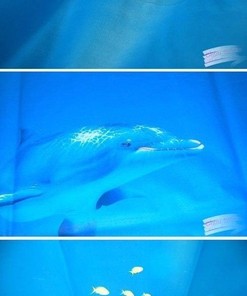 Cute Dolphin Fish in Blue Ocean Pattern Bathroom Shower Curtain - Waterproof Fabric