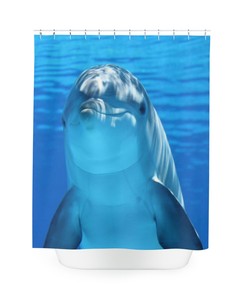 Dolphin Shower Curtain, Playful Blue Design