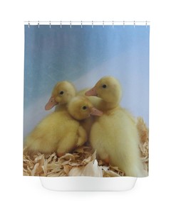 Duck Shower Curtain - Cute Baby Bath Curtain for Animal Lover Bathroom Decor