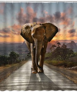 Elephant Safari Shower Curtain for Bohemian Bathroom Decor
