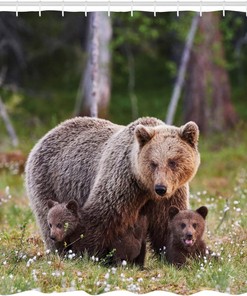 Finnish Wilderness Shower Curtain, Mother Bear and Cubs in Nordic Forest, Cloth Bathroom Decor WL, Fern Green and Cocoa