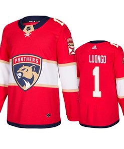 Florida Panthers Roberto Luongo 1 Home Red Jersey Jersey