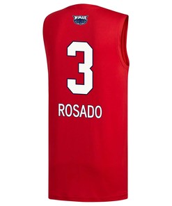 Giancarlo Rosado 3 FAU Owls 2023 March Madness Basketball Men Jersey- Red