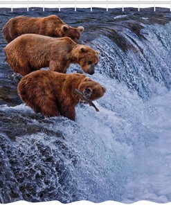 Grizzly Bears Fishing Shower Curtain - Alaska Nature Camp Bathroom Decor