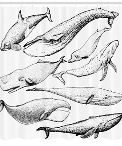 Hand Drawn Single Whale Shower Curtain for Bathroom Decor - Animal Print