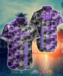 Hot NCAA Tcu Horned Frogs Coconut Hawaiian Shirt