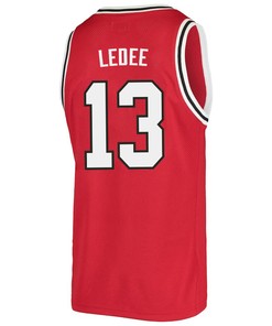 Jaedon LeDee 13 San Diego State Aztecs 2023 Basketball Jersey- Men Red