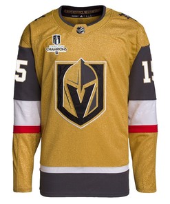Jake Leschyshyn 15 Vegas Golden Knights Stanley Cup 2023 Champions Patch Home Breakaway Men Jersey - Gold