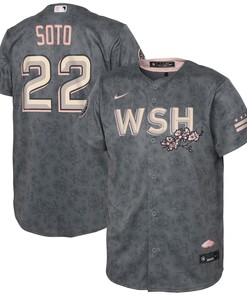 Juan Soto Washington Nationals Toddler 2022 City Connect Replica Player Jersey - Gray Mlb