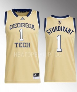 Kyle Sturdivant 1 Georgia Tech Yellow Jackets Beige Jersey 2022-23 Swingman Basketball