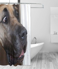 Labrador Dog Staring Animal Print Shower Curtain for Funny Bathroom Decor