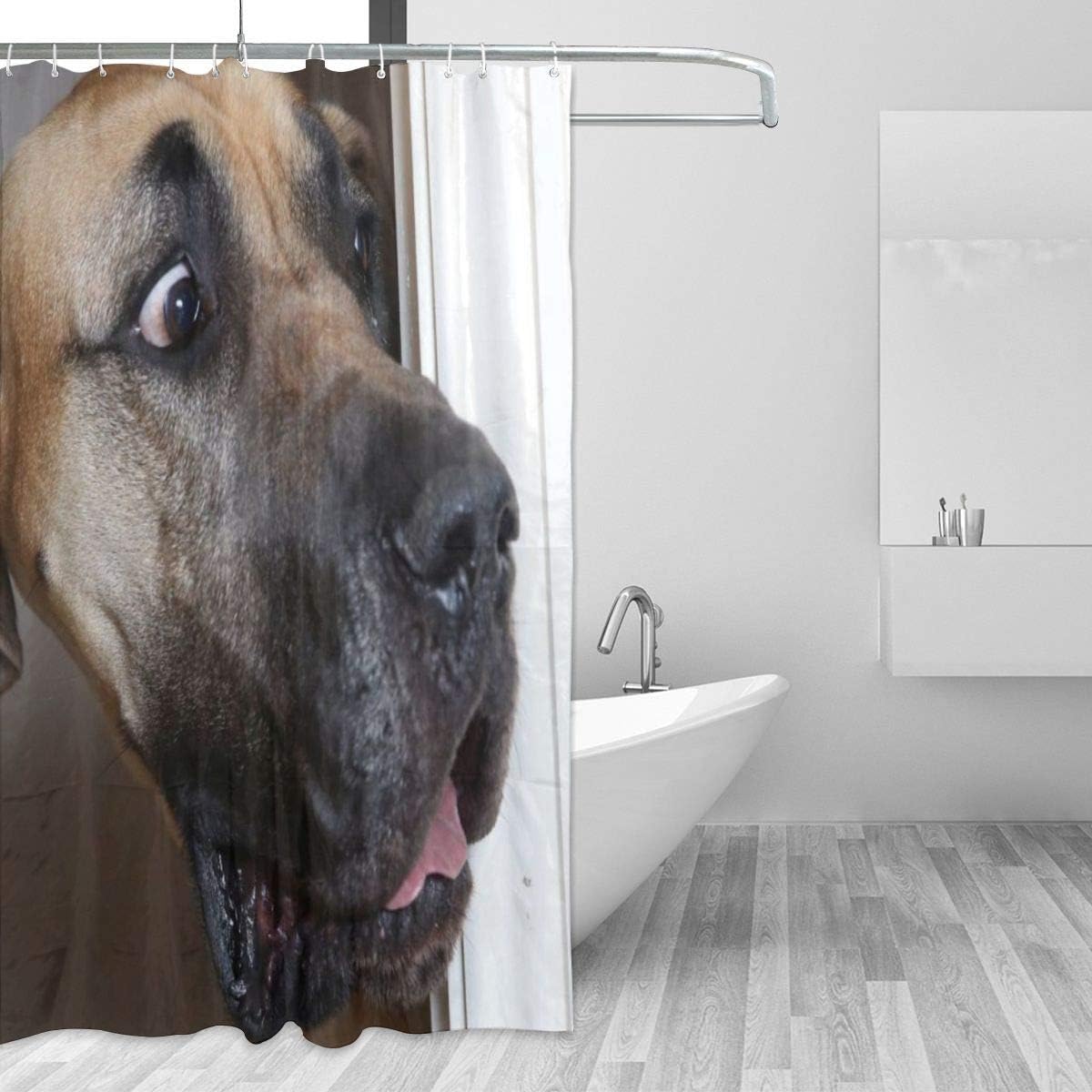 Labrador Dog Staring Animal Print Shower Curtain for Funny Bathroom Decor