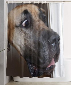 Labrador Dog Staring Animal Print Shower Curtain for Funny Bathroom Decor